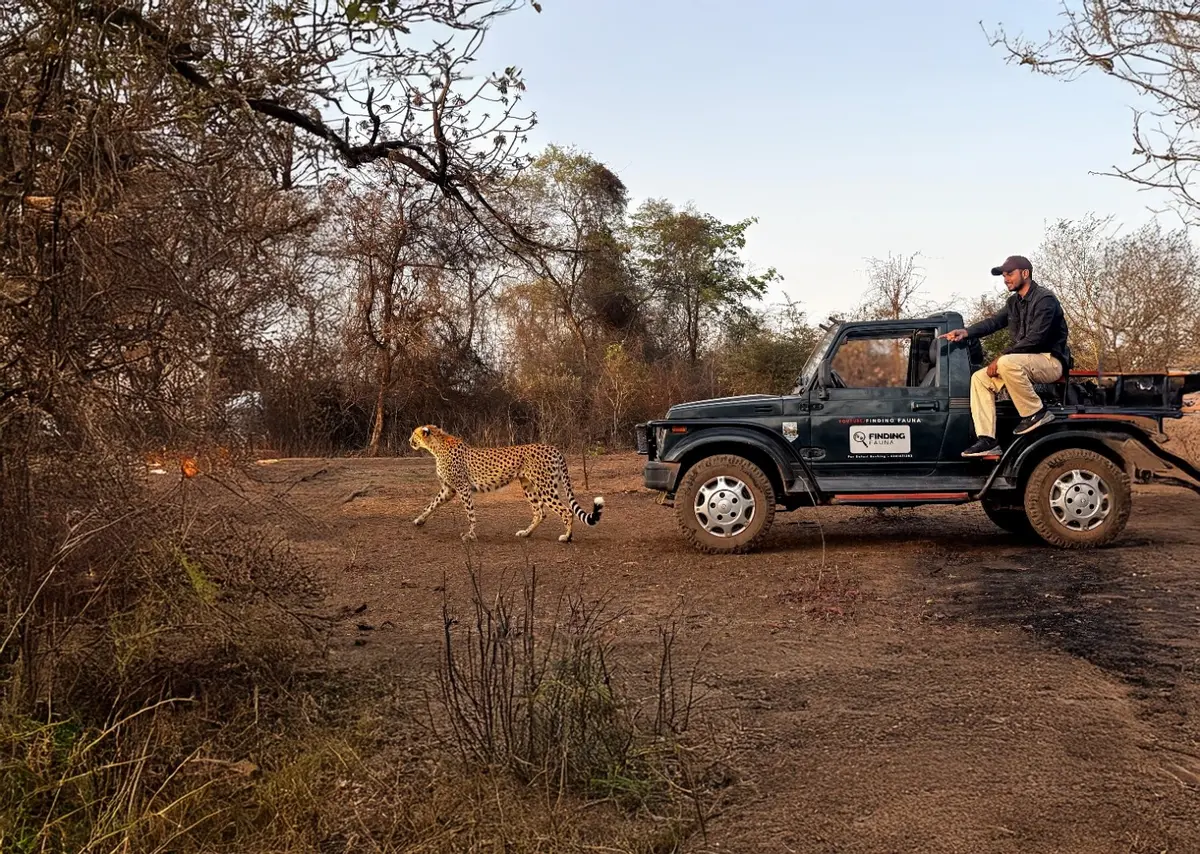 Nived Yadav photographing a cheetah in Kuno National Park — still from our YouTube channel